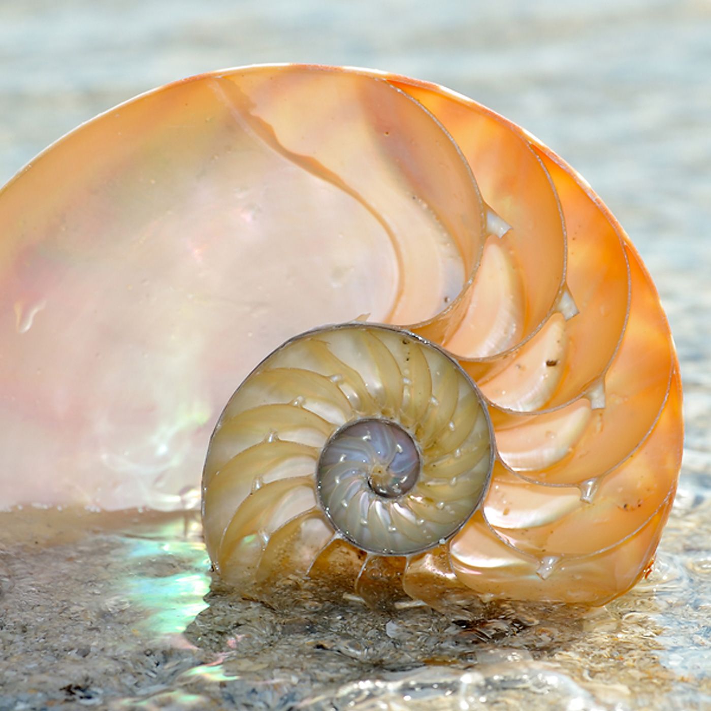 Einführung in die moderne Hypnotherapie