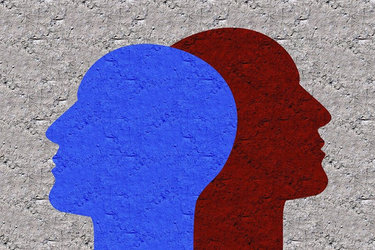 Grundlagen der professionellen Gesprächsführung: Nonverbal und verbal überzeugen
